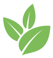 Buzz Vine Removal Service
