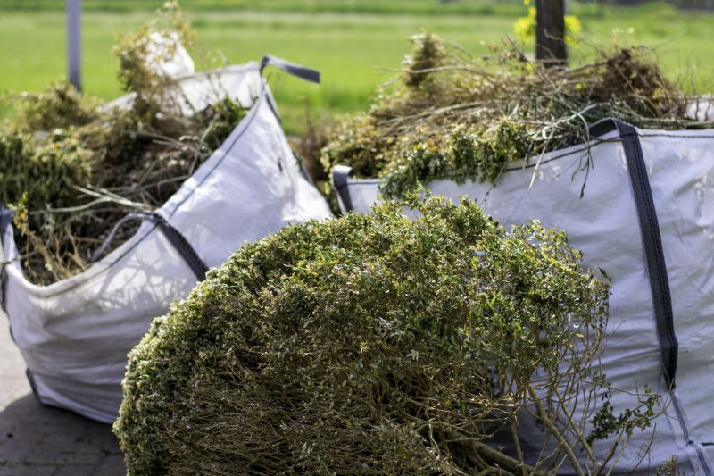 Vine Removal Service