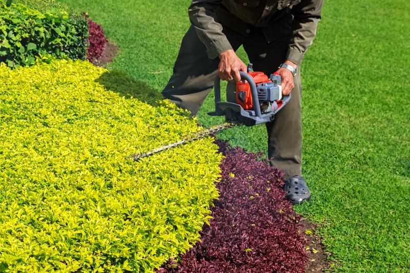 Landscaper Trimming Bushes