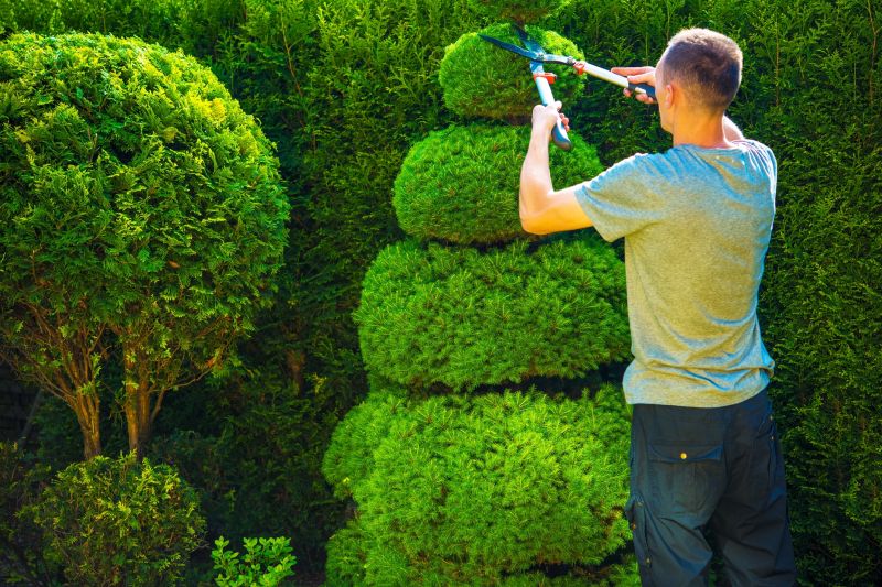 Shrub Shaping
