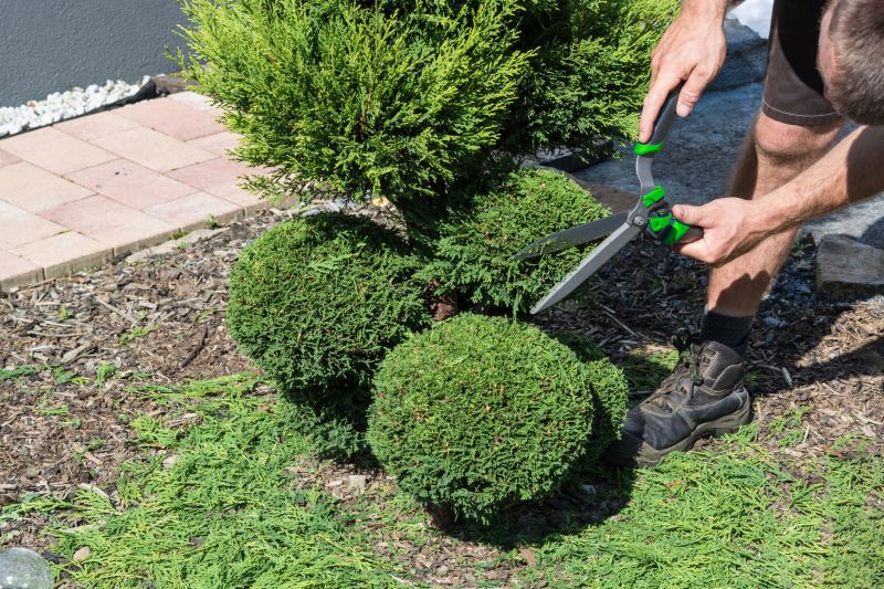Trimming Shrubs Near Walkways