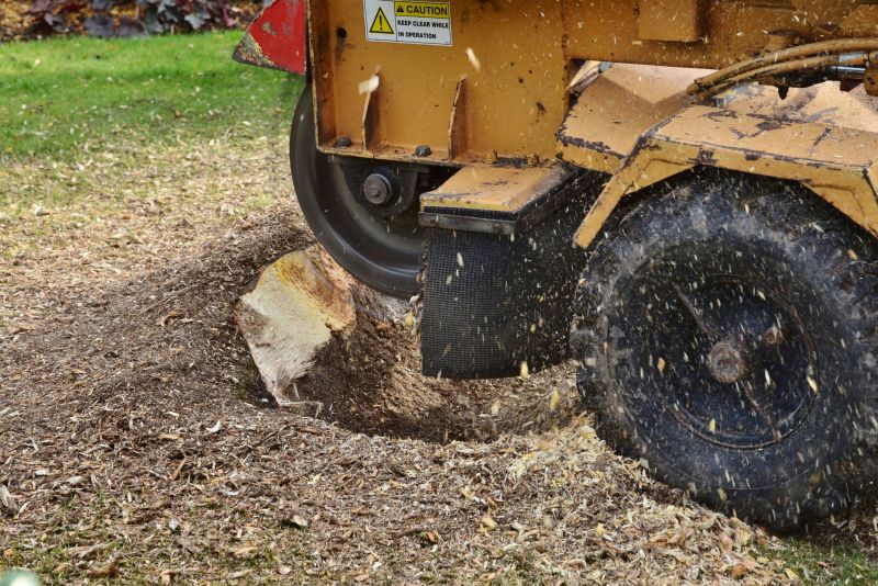 Vine Stump Grinding