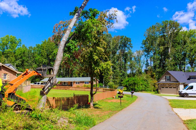 Vine Removal Service