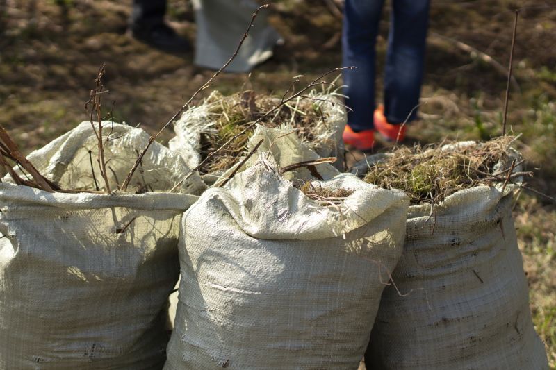 Vine Removal Service